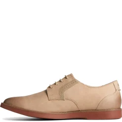 Men's , Newman Oxford-Sperry