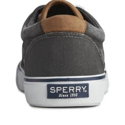 Men's , Striper II CVO Sneaker-Sperry Best