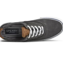 Men's , Striper II CVO Sneaker-Sperry Best