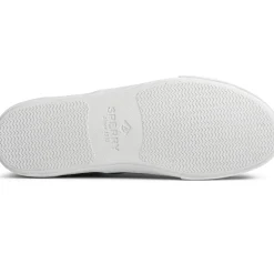 Men's , Striper II CVO Sneaker-Sperry Best